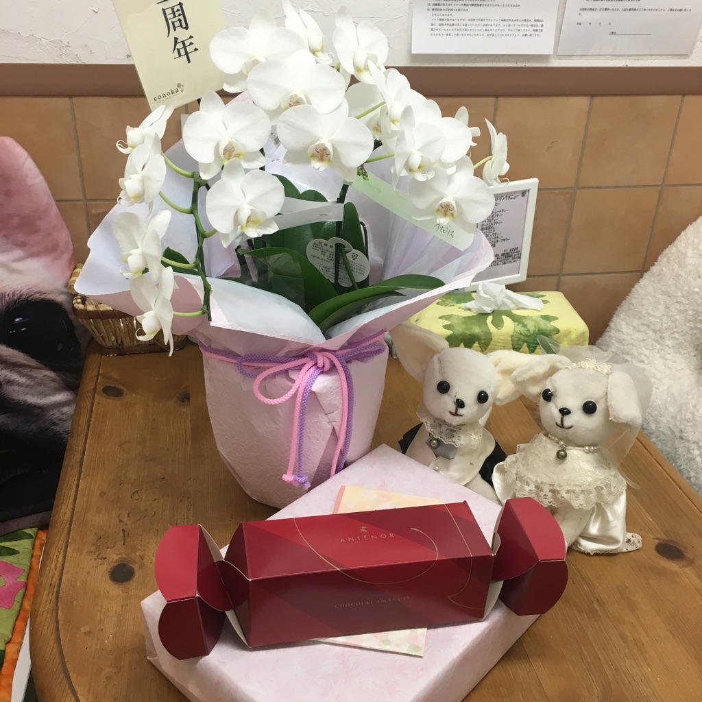 天神橋カフェ☕はもうすぐ５周年🎶お祝いをいただきました😄